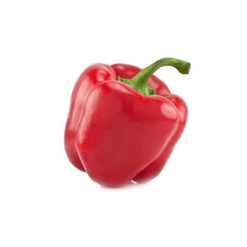 Bell Pepper, Red Capsicum