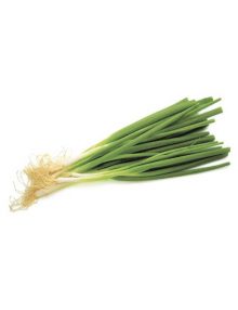 Onion, Spring