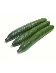 Organic Cucumber, Japanese