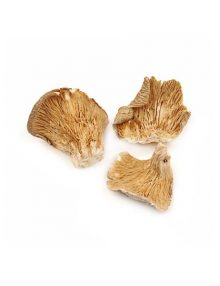 Organic Dried Mushroom - Oyster