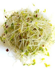 Organic Micro Alfalfa (100 grams)