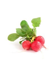 Organic Radish, Cherry / Red