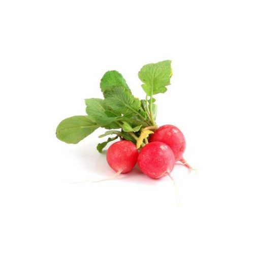 Organic Radish, Cherry / Red