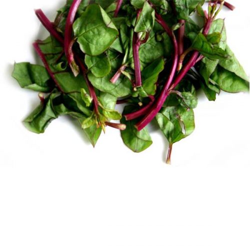 Organic Spinach, Malabar / Vine Spinach
